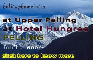 Holiday Home at Darjeeling, Hotel Crystal