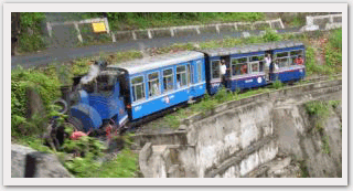 Toy Train Darjeeling