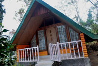 Darjeeling Blossom Eco Tourism Complex, Bara Mangwa