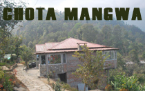Chota Mangwa