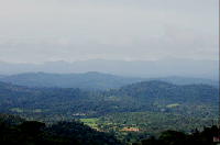 Coorg Regency, Coorg