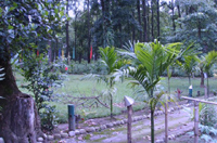 Tiabon Resort, Murti , Chalsa