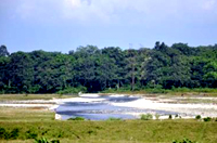 Neora River flowing beside Gorumara National Park