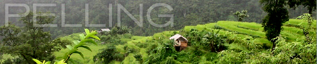 Holiday Home at Pelling, Hotel Hungree